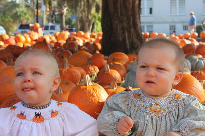 Davis Collins' album, Collins at the Pumpkin Patch