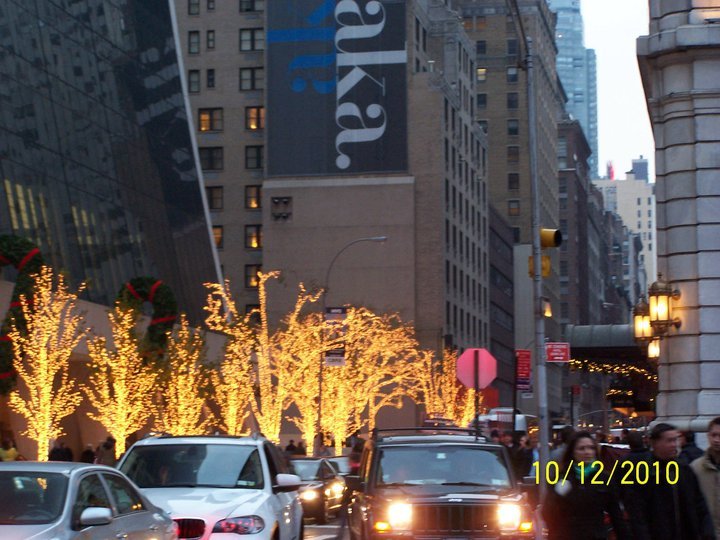 Nancy Hogaboom's album, NYC shopping trip 12-11-10