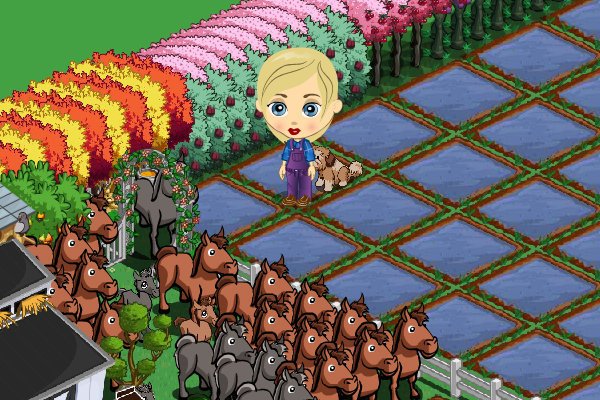 Daniel Howell's album, FarmVille Photos