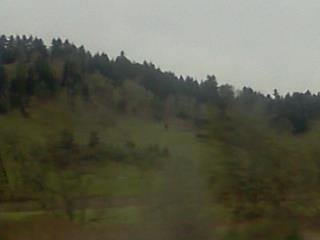 arden post's album, LG Phone Photos