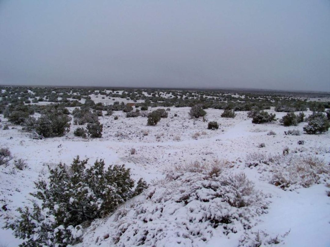 Rex Ickes' album, Painted Desert