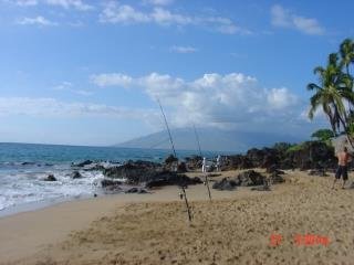Peter Van Dyne's album, Maui days