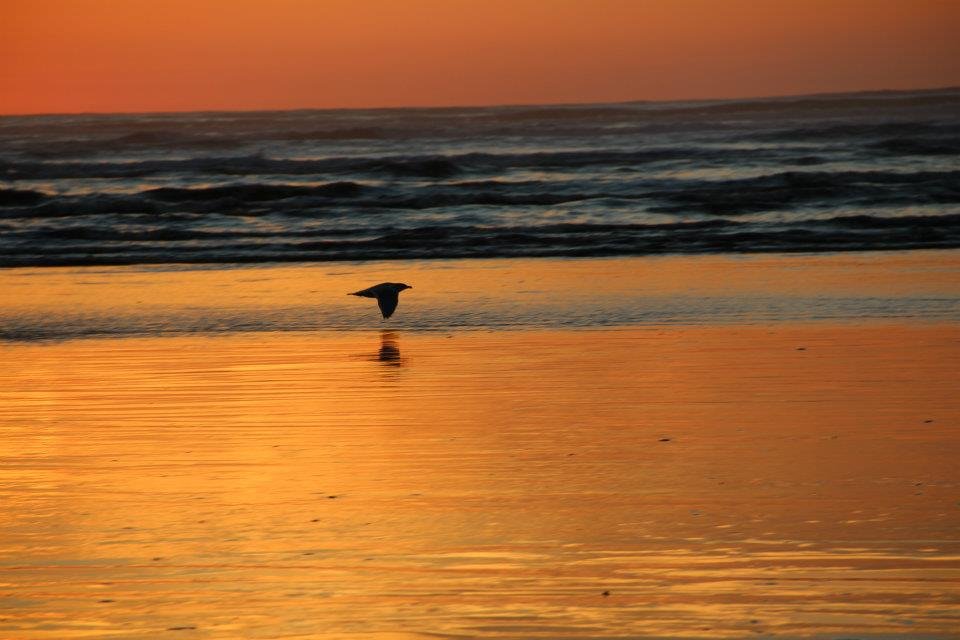 Sarah Steele's album, November 17, 2011