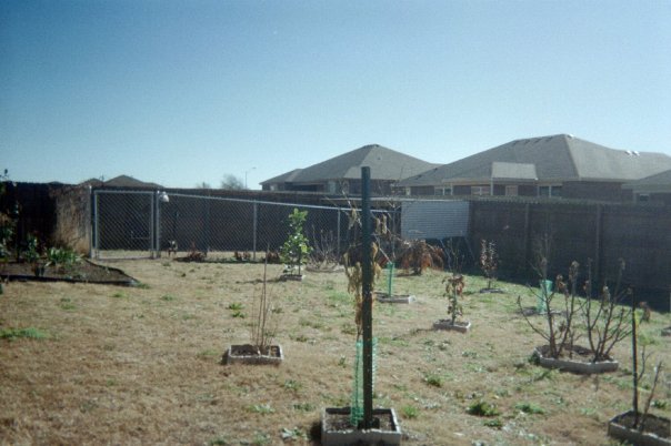 Dennis Aalid's album, Dennis' Home Photos