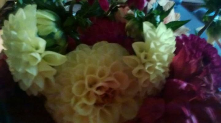 Debbie Groda's album, Mobile Uploads