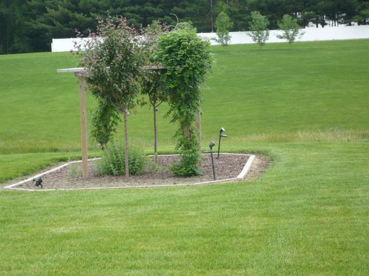 Vern Barry's album, 2011 Garden