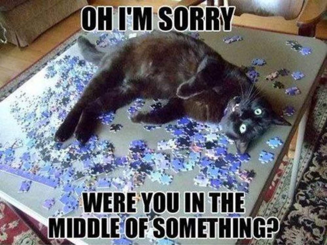 Anne Howson's album, Timeline Photos