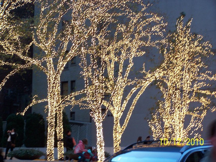 Nancy Hogaboom's album, NYC shopping trip 12-11-10