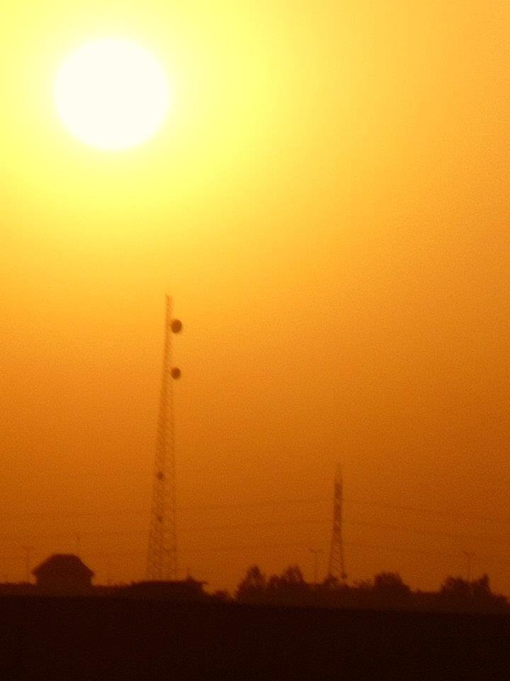 Wil Wilkinson's album, Iraq 11-12