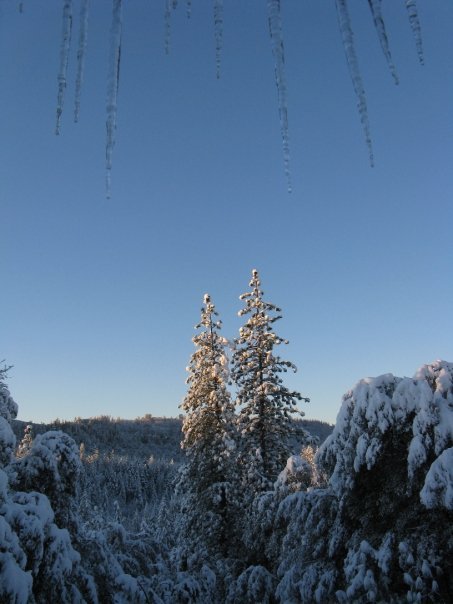 Roger Latimer's album, Snow