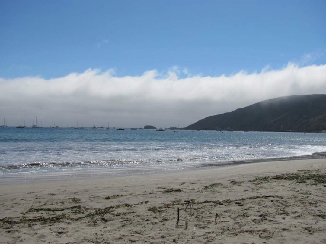 Scott Minnoch's album, central coast pics
