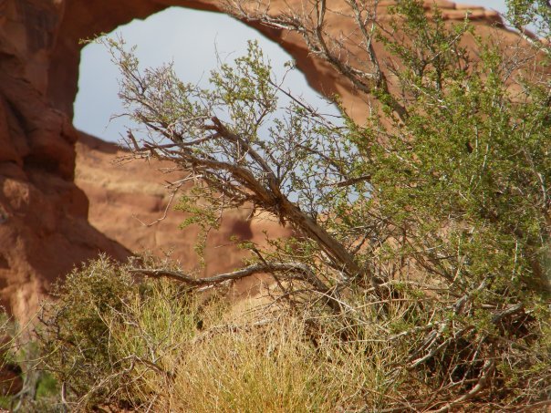 Chris Dresen's album, Some of my travels this summer