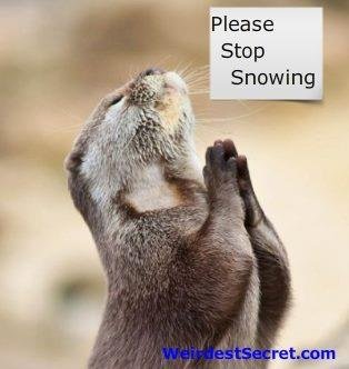 Bill Fleming's album, Timeline Photos