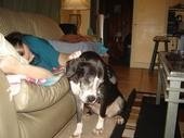 Brandy Reid's album, my pics