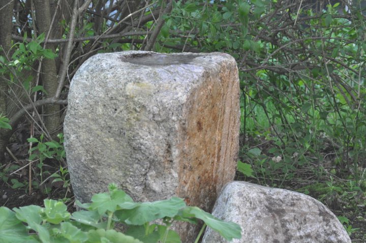 John Mahtab's album, Garden June, 2011