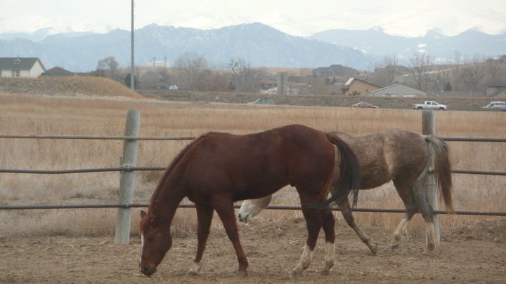 Jan Weddle's album, March 2, 2011