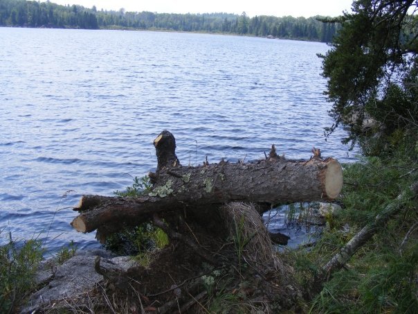 John Shimkus' album, Boundary Waters 09