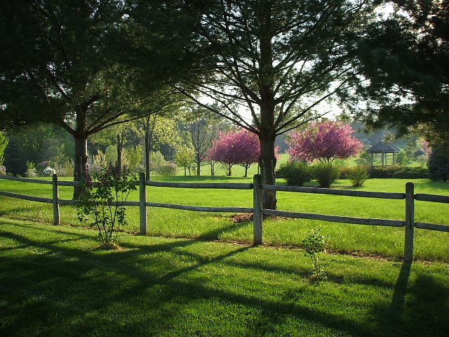 Randy Denniston's album, Cover Photos