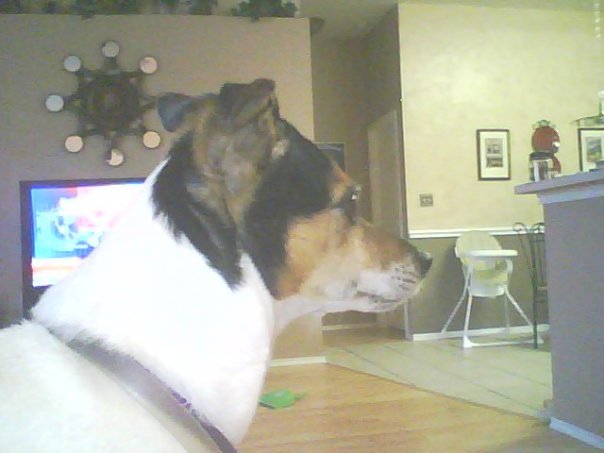 George Sulin's album, Mobile Uploads