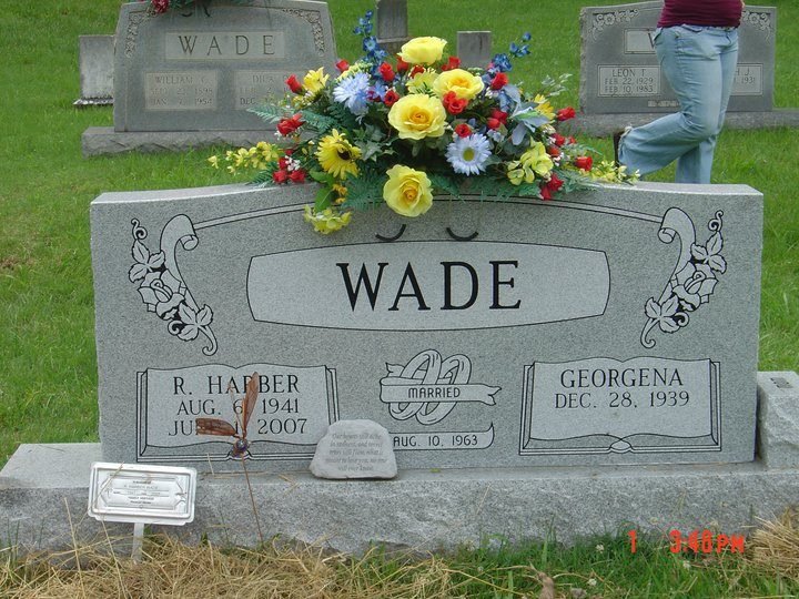 Robert Wade's album, Profile Pictures