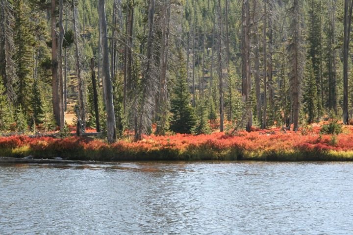 John Garrison's album, Some Road Trip Photos