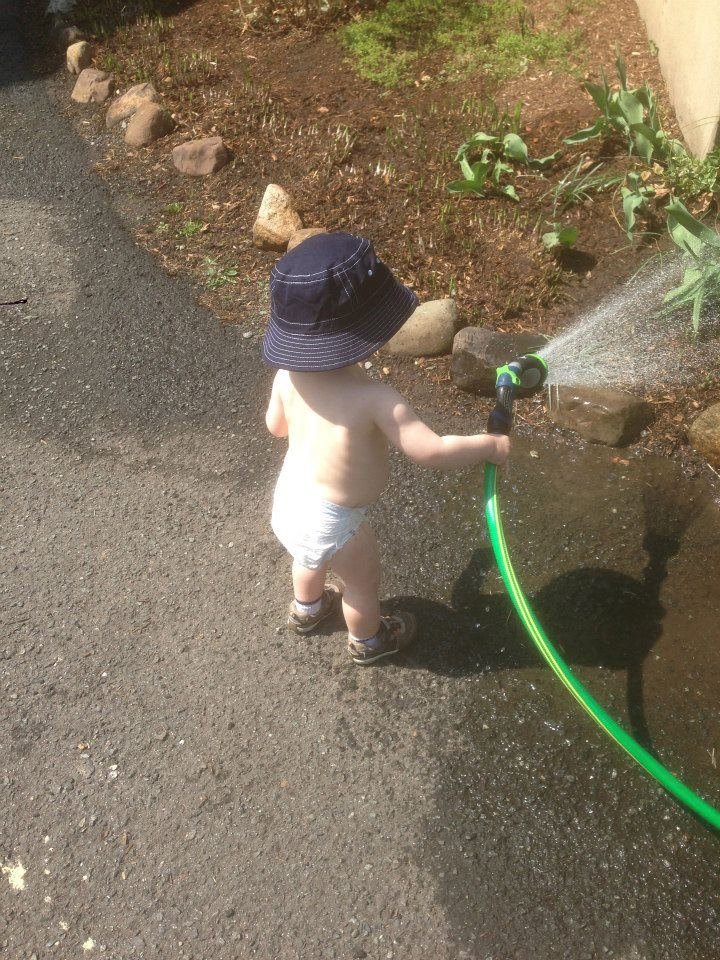 Ryan McDonald's album, The New Gardener