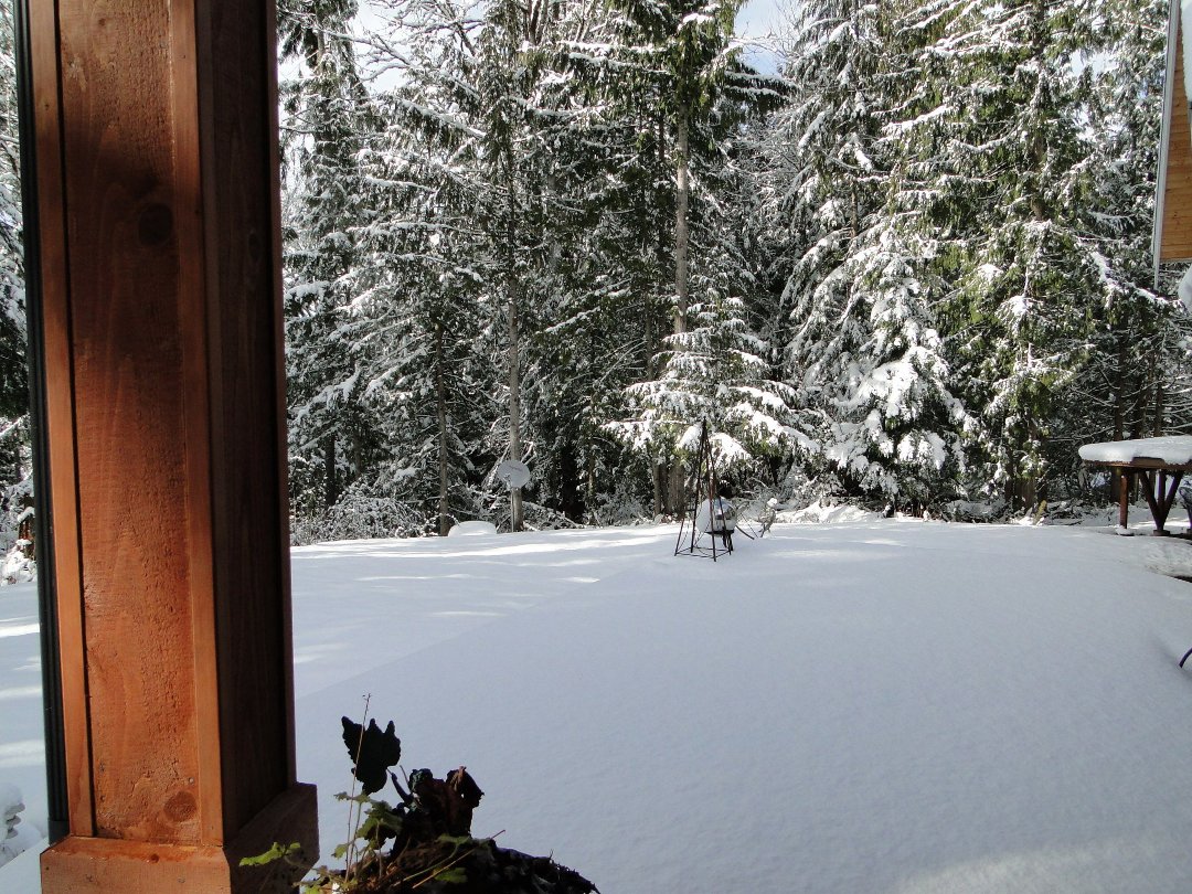 Coralee Green's album, Snow 2/2011