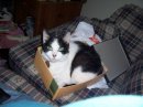 Roberta Coniglio's album, Timeline Photos