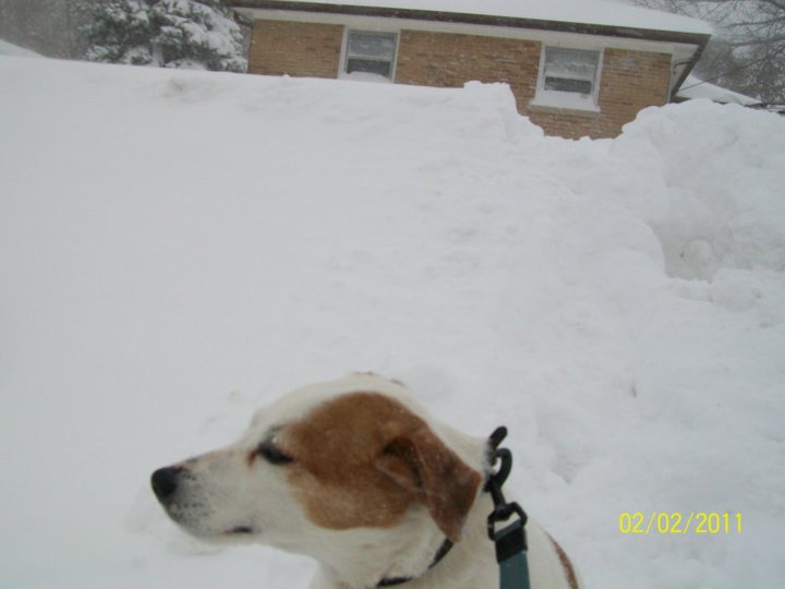 Michael McKellar's album, February 2, 2011