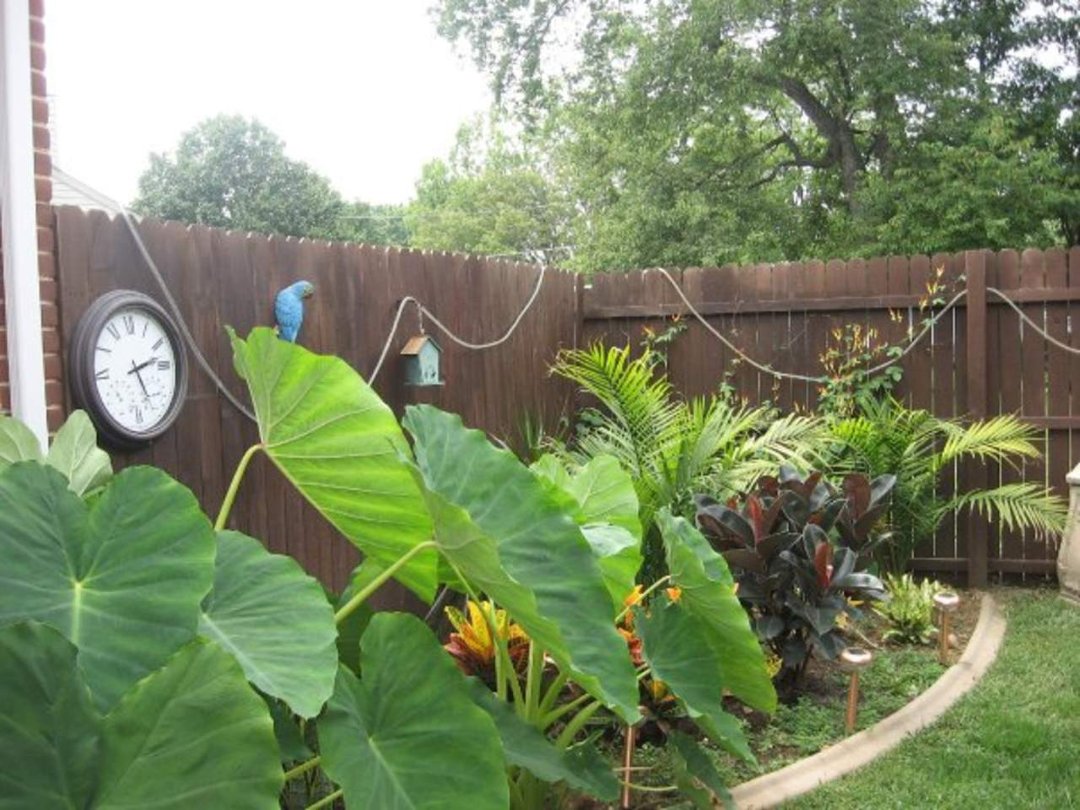 Sharon Moore's album, Missing My Garden