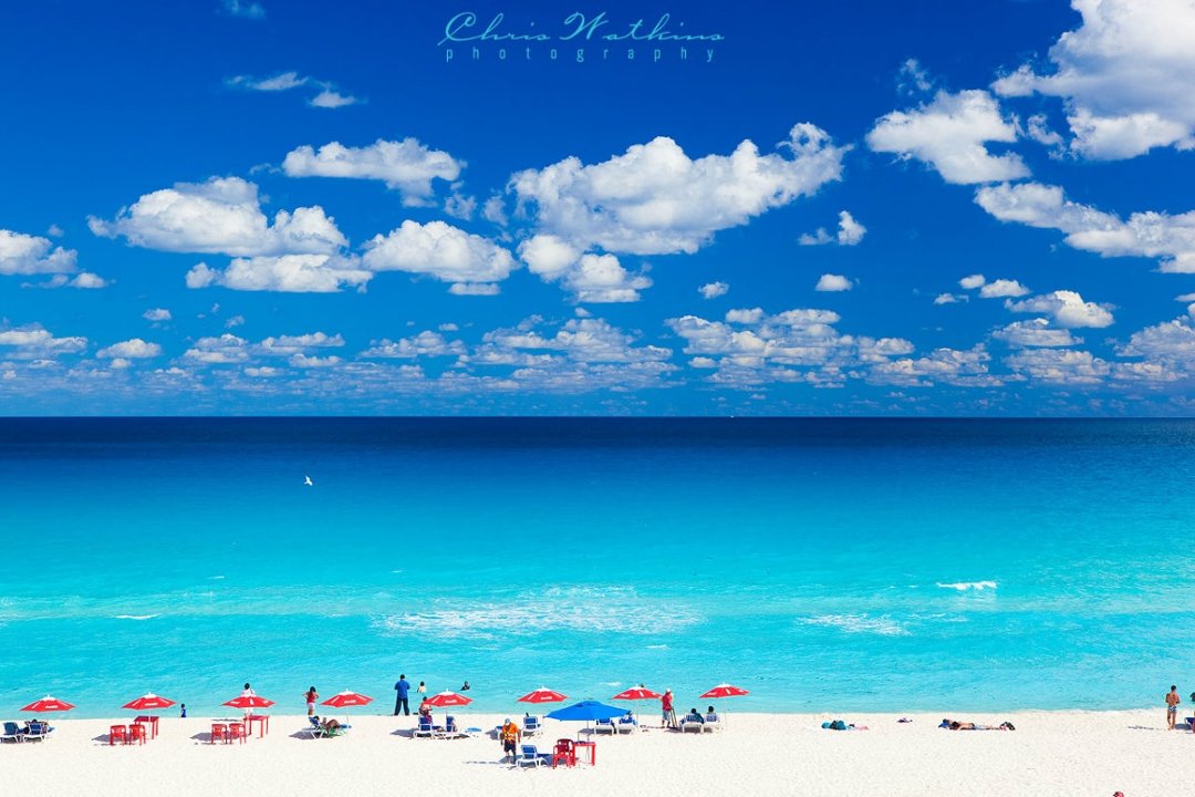 Therese Minnix's album, Cover Photos