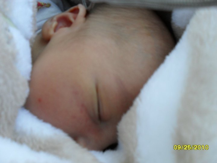 DEBORAH BESS's album, My new grandson Julian