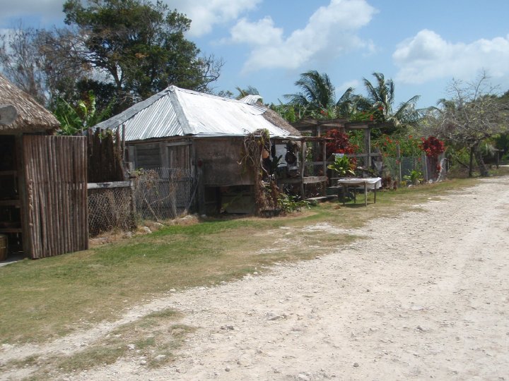 Scott Avery's album, Belize April 2010