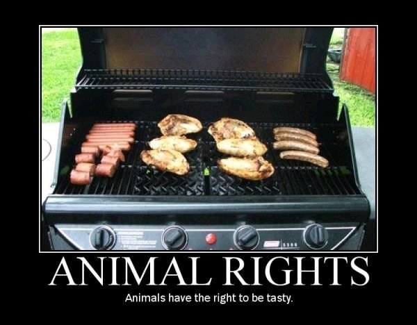 Brandon Winn's album, FUNNY PICTURES