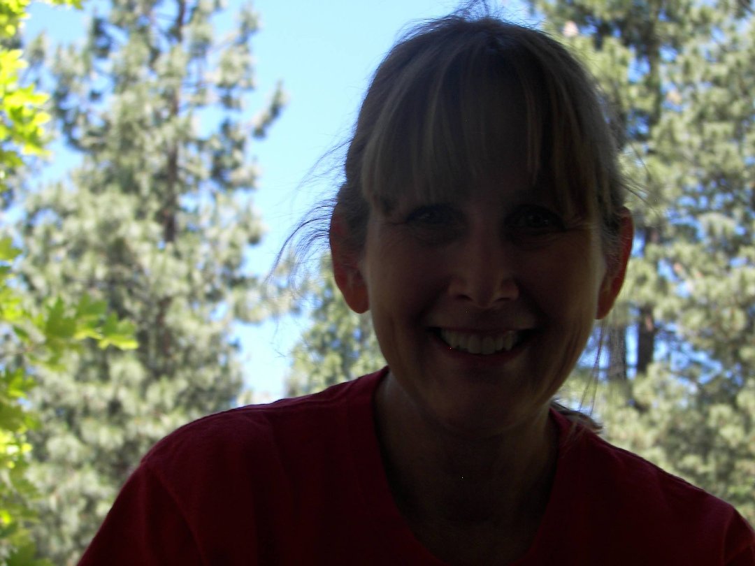 Terry Meridith's album, Profile Pictures