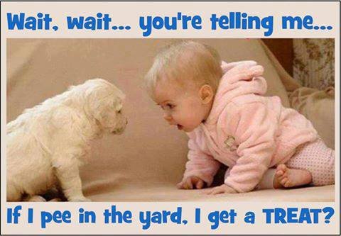 Marilyn Baumeister's album, Timeline Photos