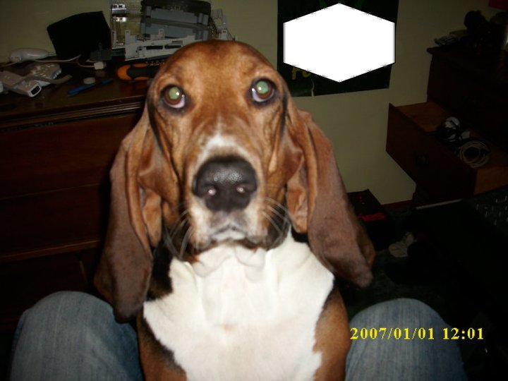 Erick Hendrickson's album, November 26, 2010