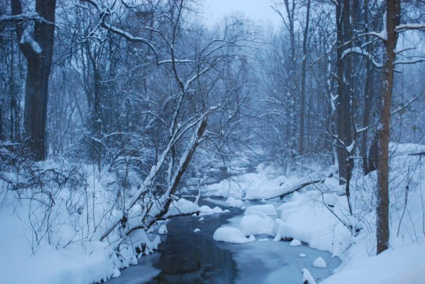 Donna Greenwald's album, winter wonderland