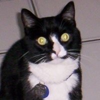 Lisa Eveland's album, Profile Pictures