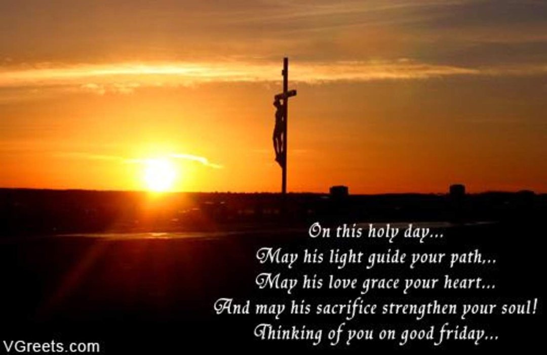 Tricia Perrone's album, Timeline Photos