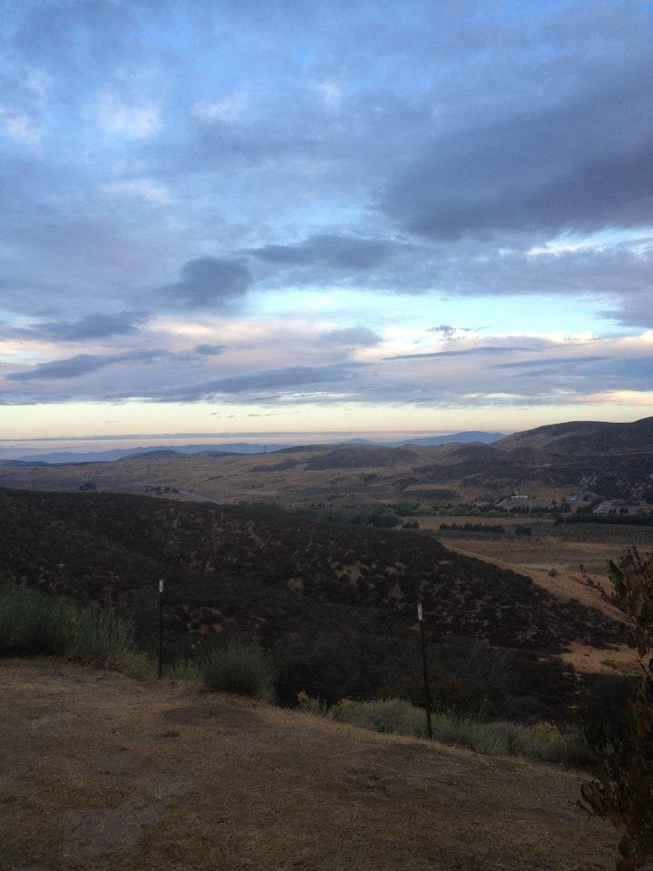 Colleen Smead's album, Mobile Uploads