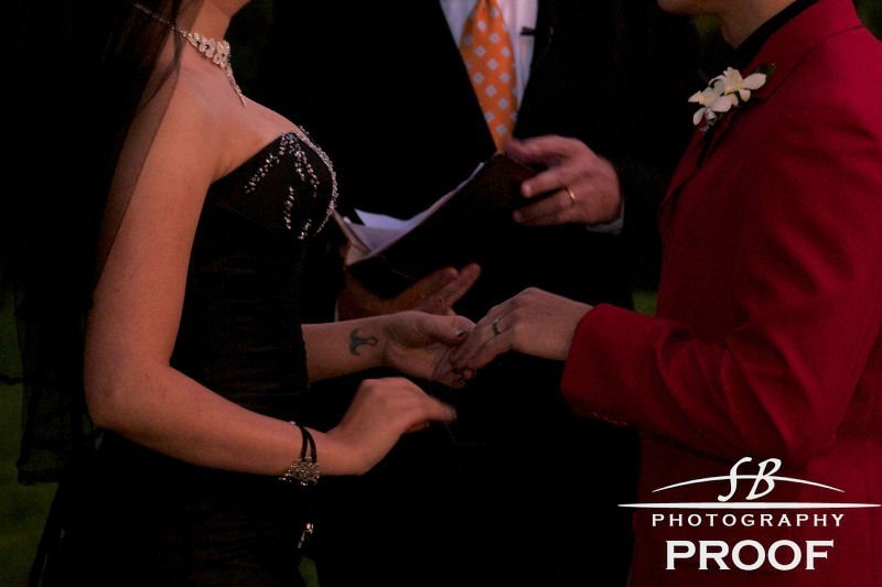 Victoria DeLaO's album, Elyse & Chris' Wedding