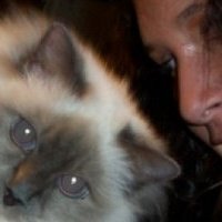 Anna Celeste's album, Profile Pictures