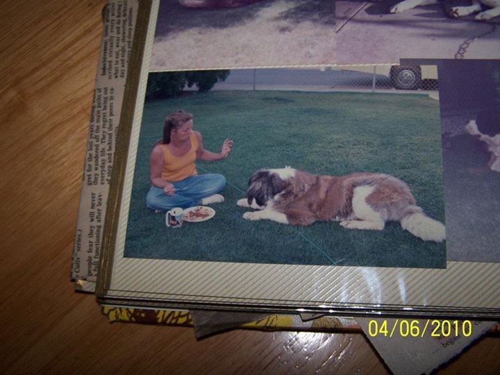 Loreene Sheppard's album, Cover Photos