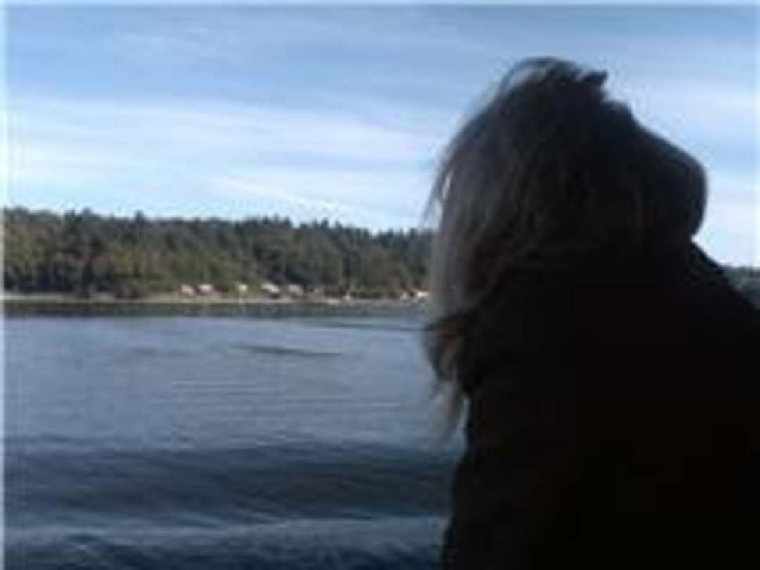 Lynnette DeShaw's album, Profile Pictures