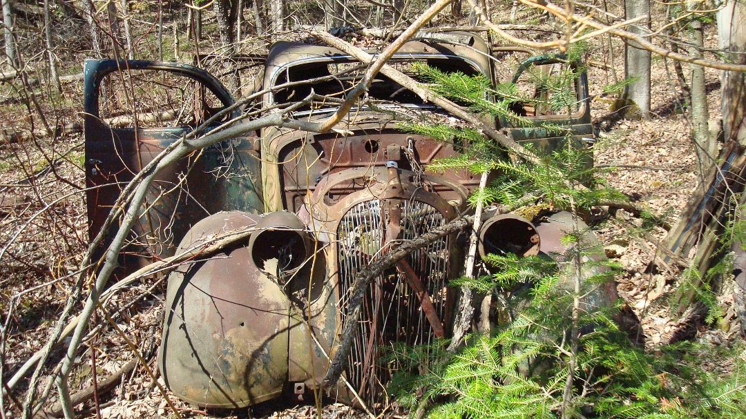 Chris Cunningham's album, 'Rustic' Scenes on a Recent Hike