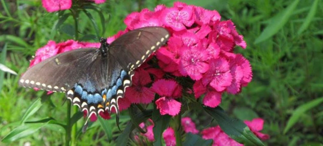 Eric Zeitner's album, Cover Photos