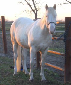 Cindy Eastland's album, March 9, 2011