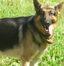 Bruce Clain's album, Profile Pictures