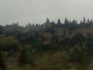 arden post's album, LG Phone Photos
